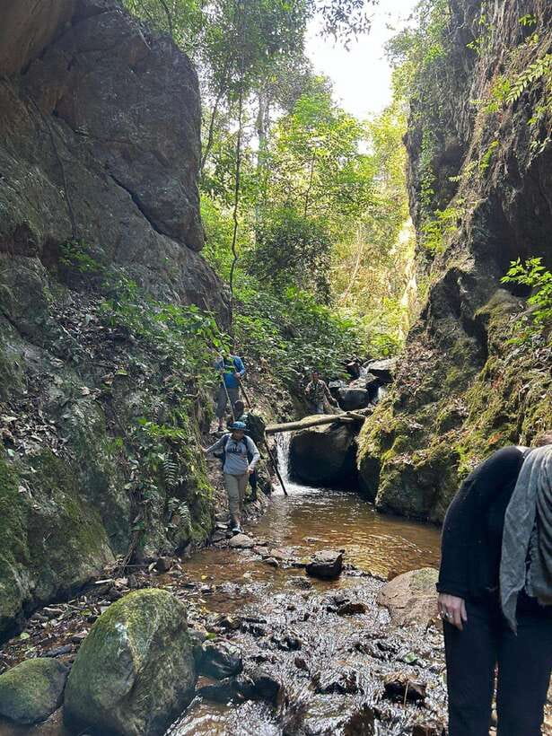 From Chiang Mai: Doi Saket Hiking Tour with Lunch - Hidden Waterfall Shower: The Ladder, the Spray, and Cooling Off