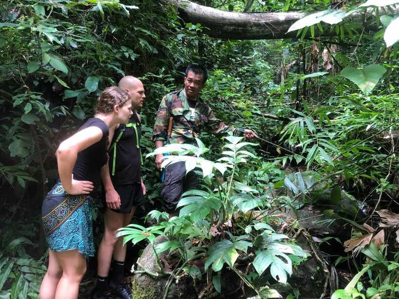 From Chiang Mai: Doi Saket Hiking Tour with Lunch - Getting There: 08:00 Pickup and the 75-90 Minute Ride to Doi Saket