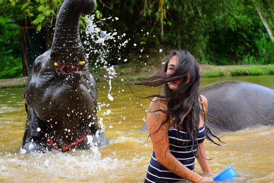 From Chiang Mai: Elephant Care Program and Nursery Tour - Group size and comfort: what to expect, and how to get along with the schedule