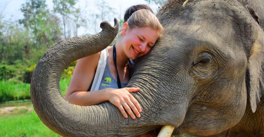 From Chiang Mai: Elephant Care Program and Nursery Tour - Changing into local clothes and learning how to behave around elephants