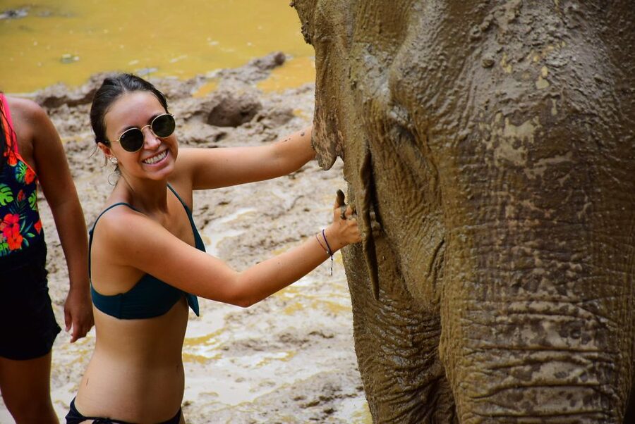 From Chiang Mai: Elephant Care Program and Nursery Tour - Feeding time: making treats, then offering them the right way