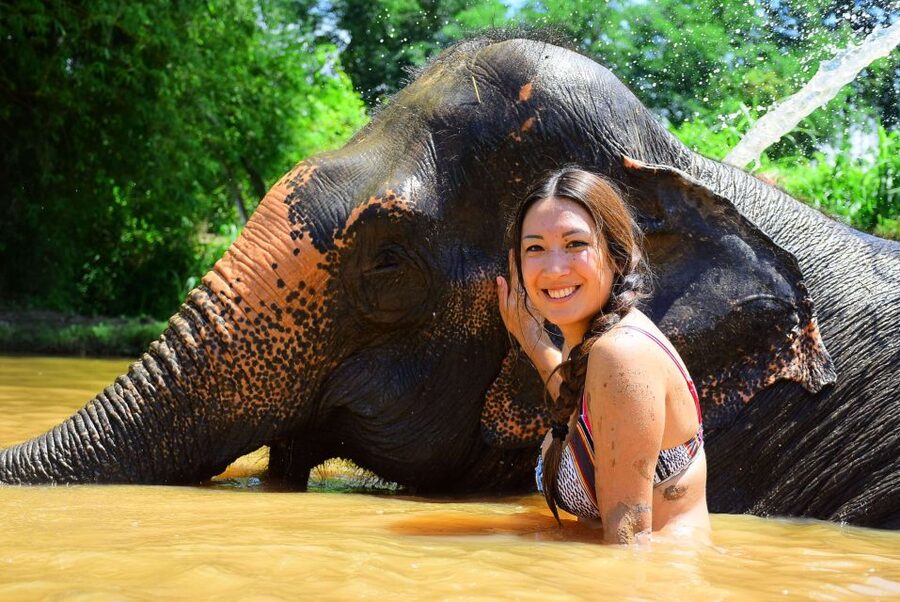 From Chiang Mai: Elephant Care Program and Nursery Tour - Mud pool and sand spa with baby elephants, plus the all-important clothing lesson