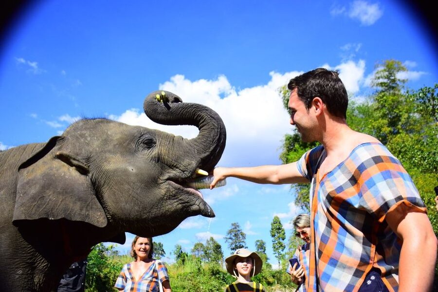 From Chiang Mai: Elephant Care Program and Nursery Tour - Getting there from Chiang Mai Old Town, and why the ride matters