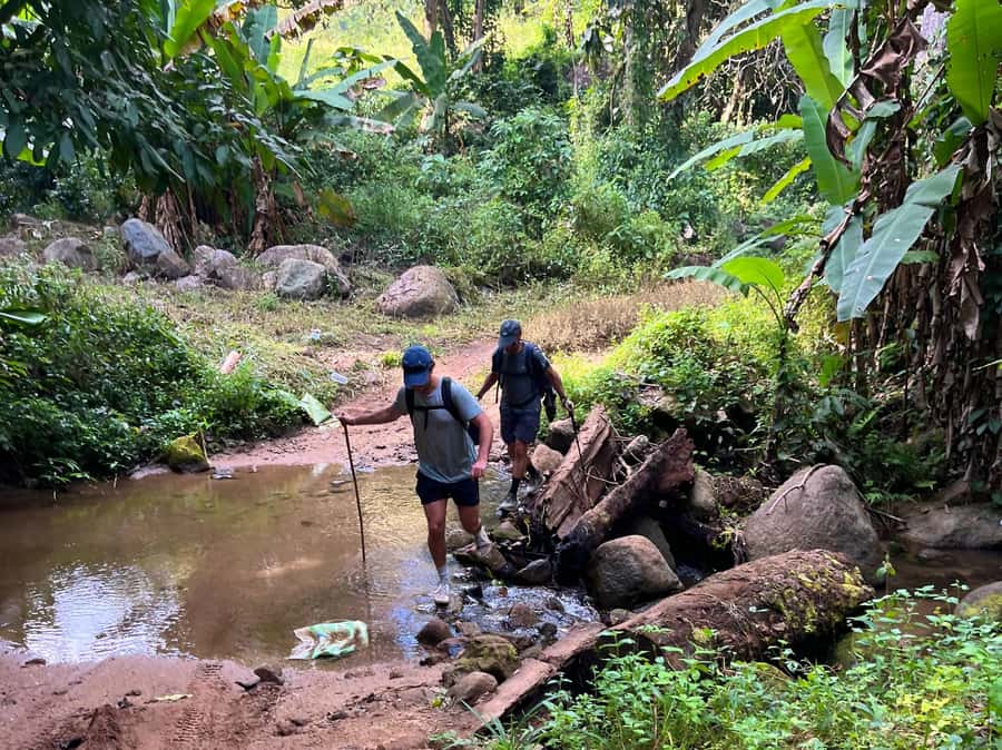 From Chiang Mai: High Mountain Day Trek - Key things you’ll notice on this Chiang Mai trek
