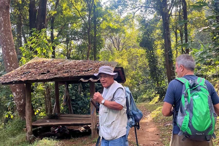 From Chiang Mai: High Mountain Day Trek - From Chiang Mai pickup to mountain trailhead in a covered truck