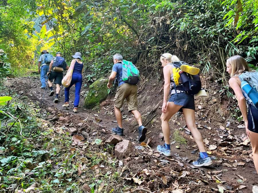 From Chiang Mai: High Mountain Day Trek - Jungle trails plus guide-led nature lessons you can actually use