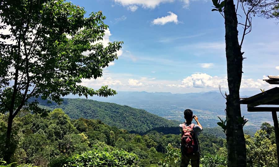 From Chiang Mai: High Mountain Day Trek - Lunch break: homemade Thai food with fruit, tea, or coffee