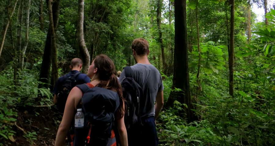 From Chiang Mai: High Mountain Day Trek - Wat Ban Den temple stop: a calm reset before heading back