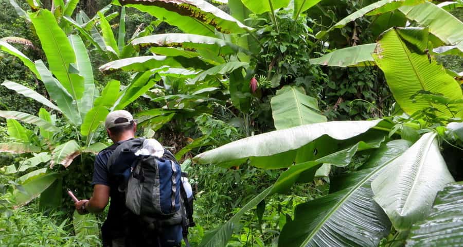 From Chiang Mai: High Mountain Day Trek - What to pack (and what to leave behind) for comfort