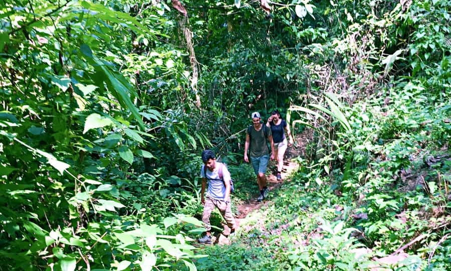 From Chiang Mai: High Mountain Day Trek - Price and value: why $73 can work for the right traveler