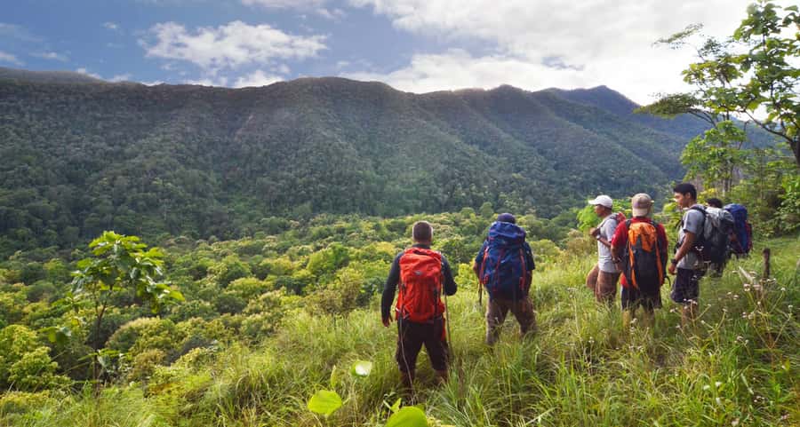 From Chiang Mai: High Mountain Day Trek - The 2.75-hour hike: how tough is the “moderate” part?