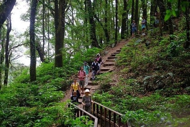 From Chiang Mai: Inthanon National Park 9-Hour Group Tour - Hmong market and Karen village: Shopping with a story attached
