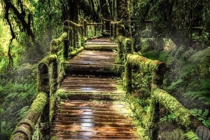 From Chiang Mai: Inthanon National Park 9-Hour Group Tour - What you get for $69, and what you still need to cover