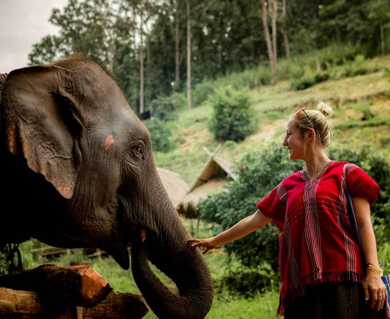 From Chiang Mai: Kerchor Eco Elephant Park Tour - Key things to know before you go