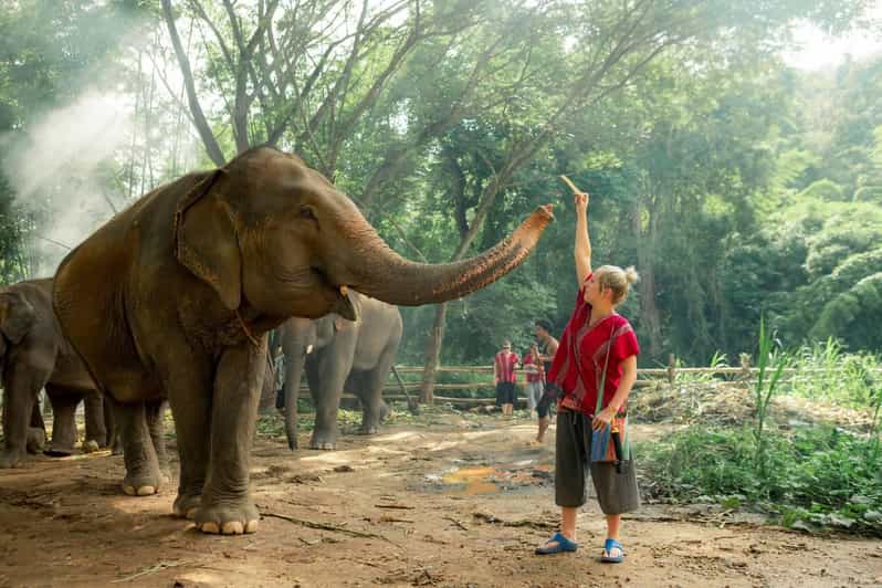 From Chiang Mai: Kerchor Eco Elephant Park Tour - Getting from Chiang Mai to Kerchor without losing the day