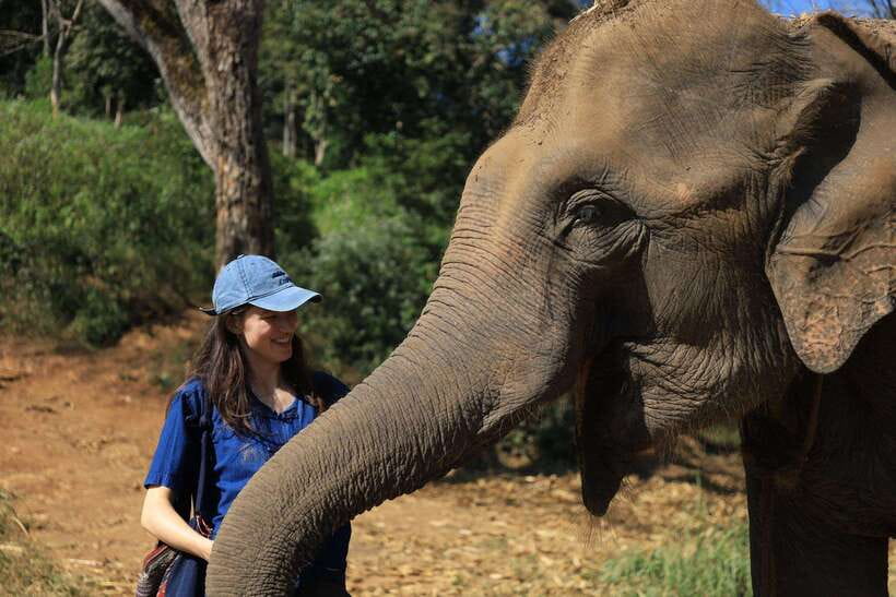 From Chiang Mai: Living Green Elephant Sanctuary Tour - Living Green Elephant Sanctuary: What Makes It Feel Ethical