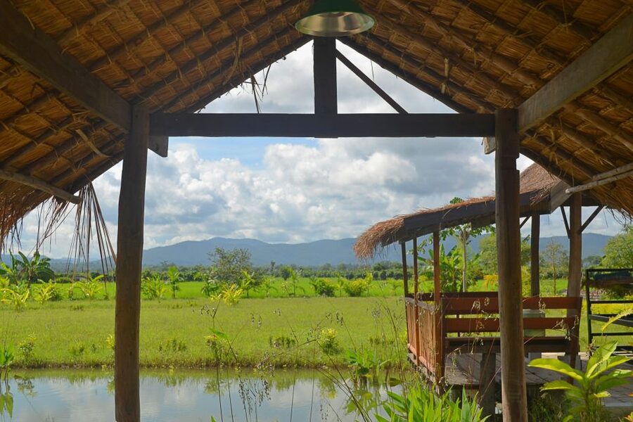 From Chiang Mai: Mae Taeng Valley and Waterfalls Cycle Tour - Key highlights to expect on this Mae Taeng cycling day