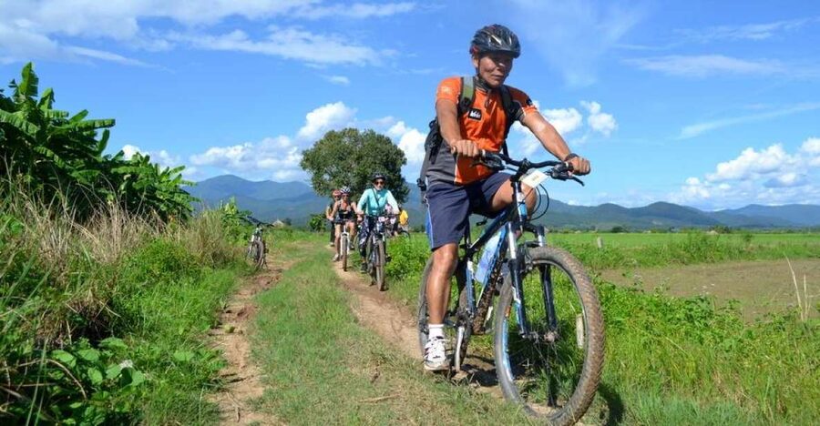 From Chiang Mai: Mae Taeng Valley and Waterfalls Cycle Tour - Getting started: hotel pickup, van ride, and bike fitting that actually helps