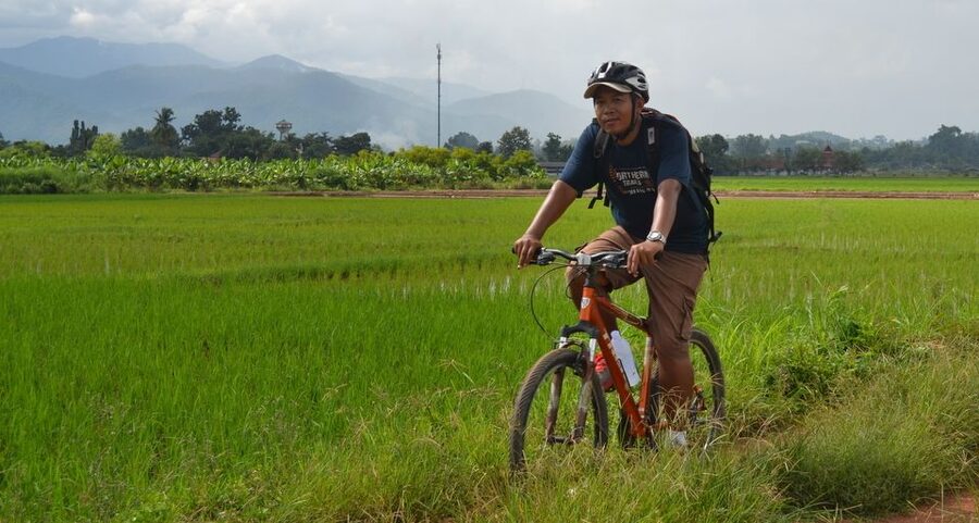 From Chiang Mai: Mae Taeng Valley and Waterfalls Cycle Tour - The afternoon choice: keep cycling or ride by van to Bua Thong