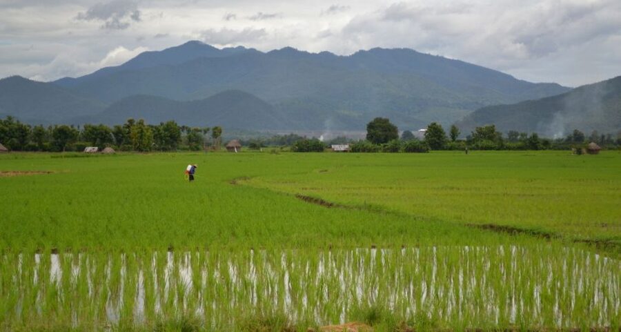 From Chiang Mai: Mae Taeng Valley and Waterfalls Cycle Tour - Bua Thong sticky waterfalls: swimming, climbing, and how to enjoy it safely