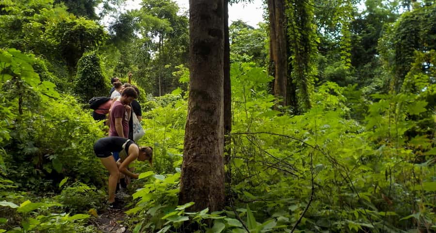 From Chiang Mai: Mae Taeng Valley Hike & Bike Day Trip - The 15 to 20 km bike ride: valley down, rice fields up close