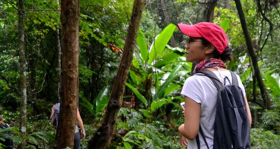 From Chiang Mai: Mae Taeng Valley Hike & Bike Day Trip - The 5 km village hike: orchards, fields, and real trail time