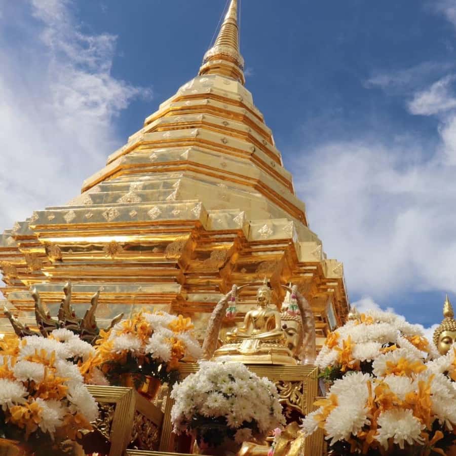 From Chiang Mai: Temples, Sticky Waterfall, and Orchid Farm - A Practical Day Trip Loop Around Chiang Mai’s Big Sights