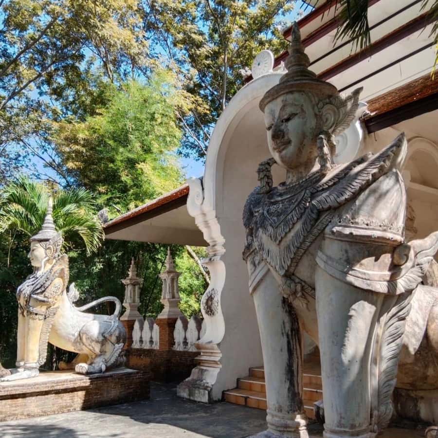 From Chiang Mai: Temples, Sticky Waterfall, and Orchid Farm - Bua Tong Sticky Waterfall Climb, What to Bring and How to Enjoy It Safely