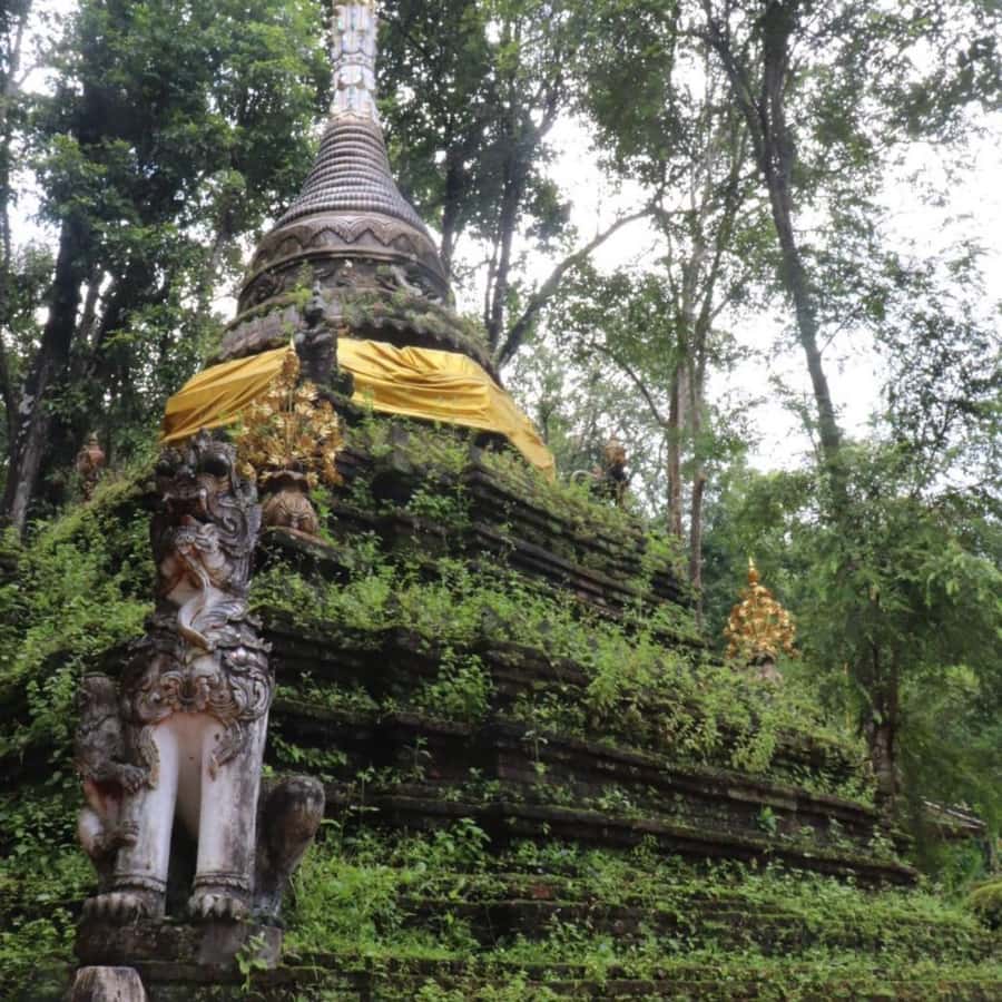 From Chiang Mai: Temples, Sticky Waterfall, and Orchid Farm - Price and Value: Why $80 Often Makes Sense Here