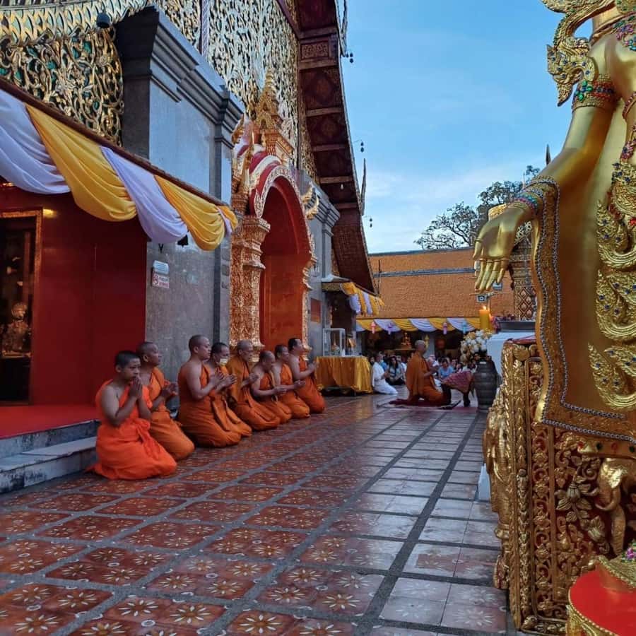 From Chiang Mai: Temples, Sticky Waterfall, and Orchid Farm - Comfort and Logistics That Matter in Chiang Mai