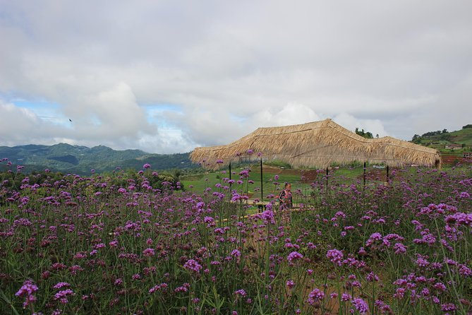 Fruiful Oneday! Trip outskirt of a City from end to end - Key reasons this day tour works well