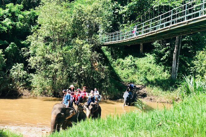 Full Day Car Hire with an English Speaking Driver in Chiang Mai - Wat Doi Suthep and Chiang Mai’s temple sightseeing stops