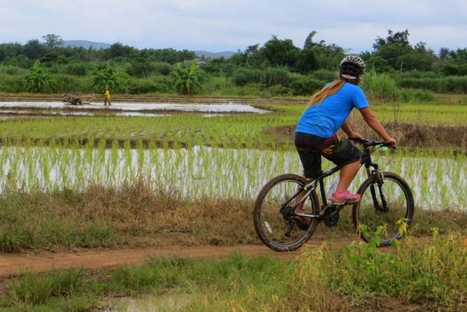 Full-Day Cycle and Kayak trip in Sri Lanna National Park - Key things I’d bet you’ll enjoy most