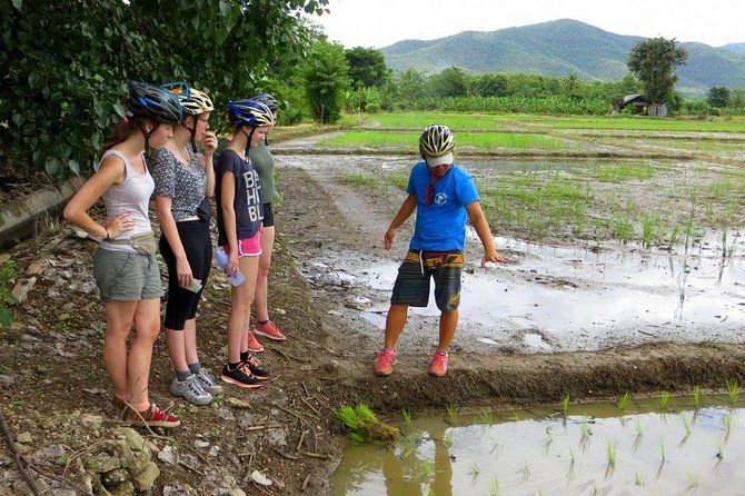 Full-Day Cycle and Kayak trip in Sri Lanna National Park - The gear makes a difference: sit-on-top kayaks and front suspension bikes