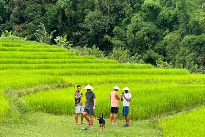Full-Day Doi Inthanon National Park Tour with Trek and Pagodas - A full-day Doi Inthanon plan that actually moves