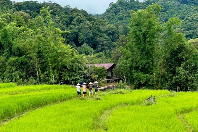 Full-Day Doi Inthanon National Park Tour with Trek and Pagodas - Hmong Market lunch, plus village time