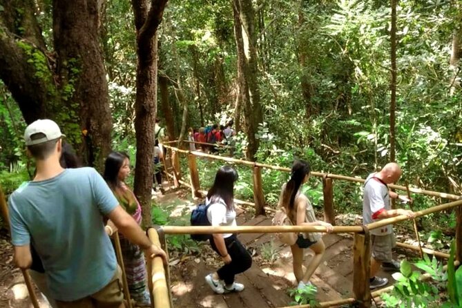 Full-Day Doi Inthanon National Park Tour with Trek and Pagodas - A coffee stop at Baan Mae Klang Luang