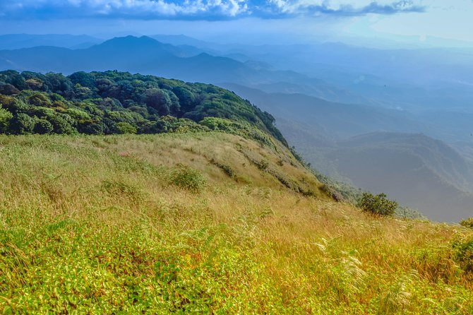 Full-Day Doi Inthanon Nature Tour from Chiang Mai - Transportation and Pace: Private for Your Group, Built for a Full Day