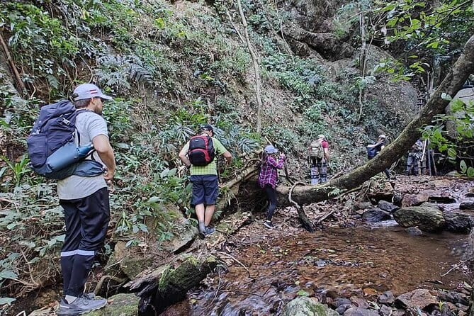 Full Day Doi Saket Hiking Tour - Key points to know before you go