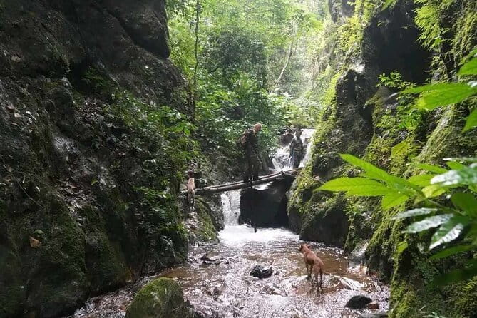 Full Day Doi Saket Hiking Tour - Morning Village Culture and Herb Lessons That Actually Matter