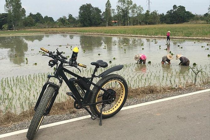 Full-day E-bike Countryside and Nam Phrae (flat-hilly, GUIDED) - Price and what you get for your $80.67