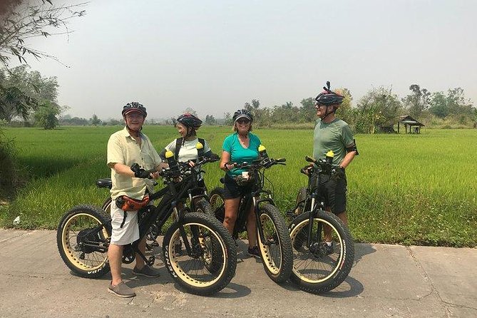 Full-day E-bike Countryside and Nam Phrae (flat-hilly, GUIDED) - The scenic Ping River route, rice fields, and orchards
