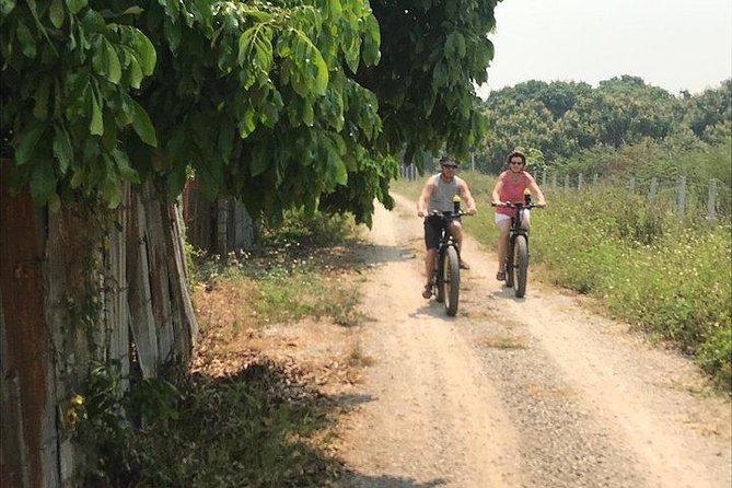 Full-day E-bike Countryside and Nam Phrae (flat-hilly, GUIDED) - A quick reality check on expectations for temples and sun