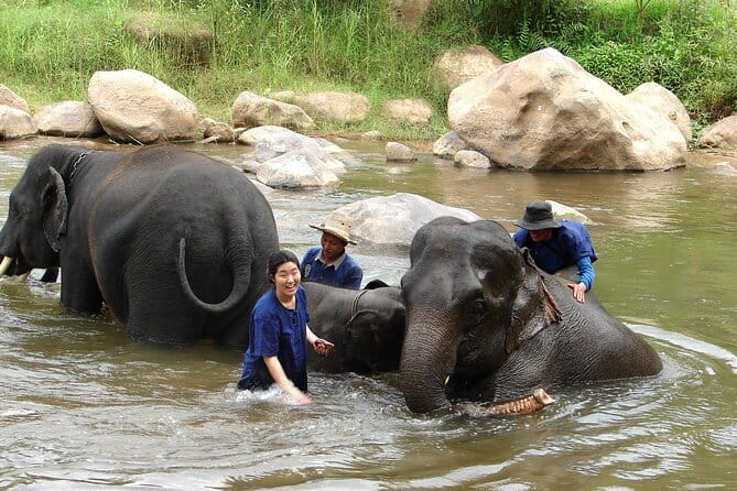 Full Day Elephant Bathing and Bamboo Rafting Tour in Chiang Mai - Taeng River Bamboo Rafting: Water Level Controls the Ride