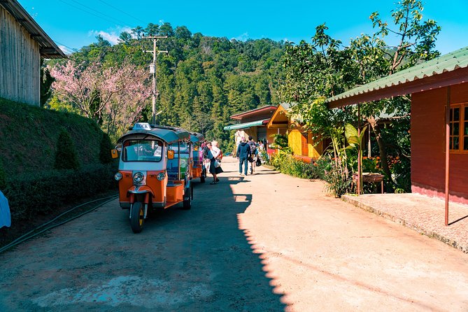 Full-Day Guided Tuk Tuk Chiang Mai Adventure and Rafting - Should You Book This Tuk Tuk and Bamboo Raft Adventure?