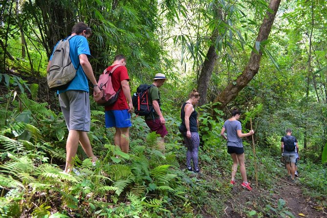 Full-Day Hike and Bike Tour from Chiang Mai - Key Highlights Worth Marking on Your Map