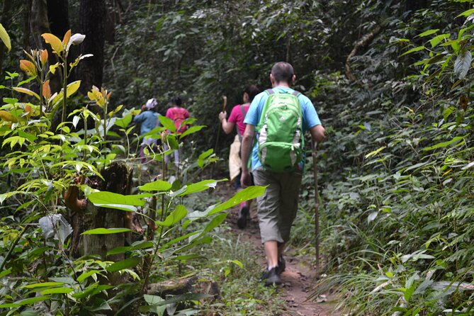 Full-Day Hike and Bike Tour from Chiang Mai - Mae Sa Valley Hike and Bike: Why This Day Works