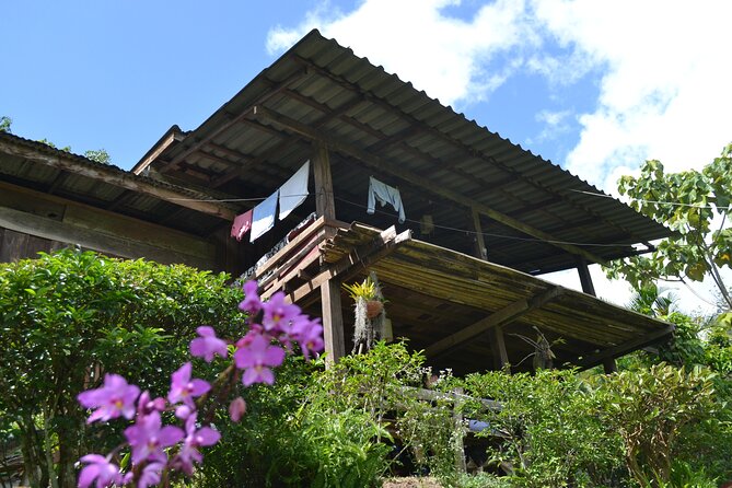 Full-Day Hike and Bike Tour from Chiang Mai - Waterfall Time and a Thai Picnic Lunch That Actually Fuels You