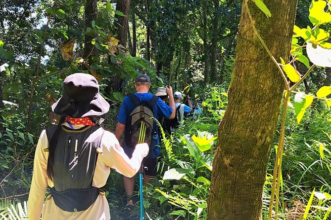 Full-Day Hike and Bike Tour from Chiang Mai - Guides, Small Groups, and the Comfort Factor