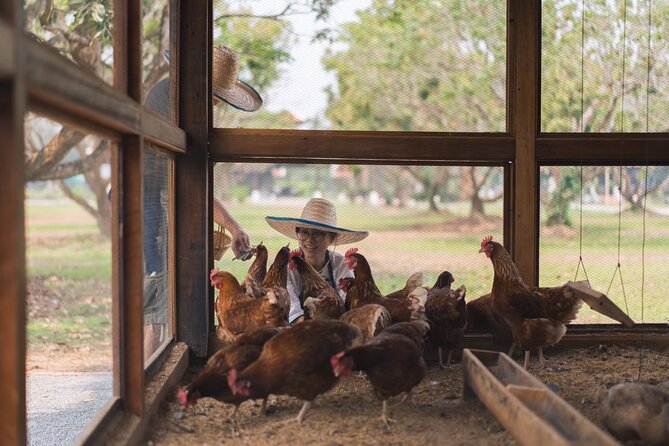 Full-Day Thai Cooking Class with Grandma - Market and Farm Tour - Coconut milk the traditional way, with a wooden grater
